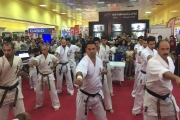         2016
