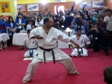        2016